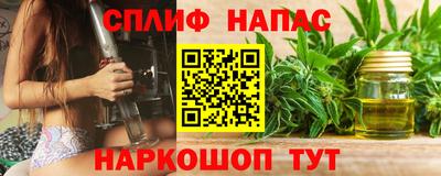 гашик Жуковский
