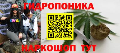 гашик Жуковский