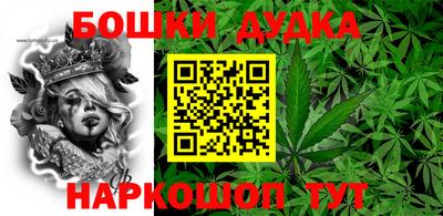 гашик Жуковский