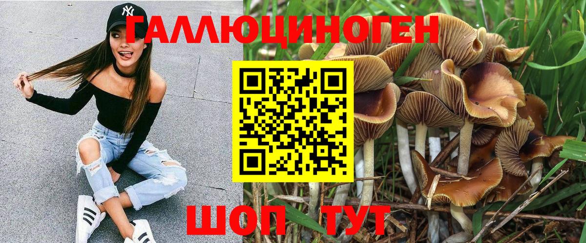 Галлюциногенные грибы Psilocybine cubensis Лыткарино