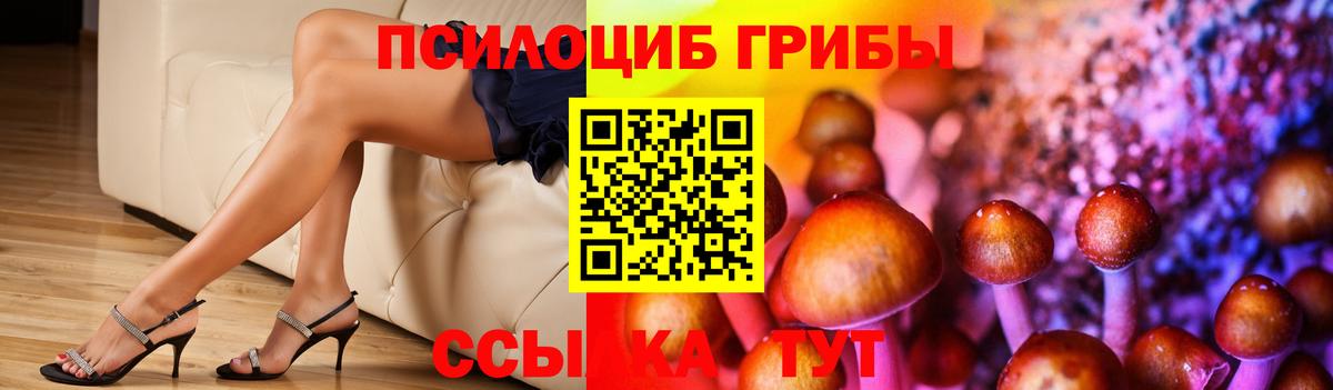 Бошки Шишки Лыткарино